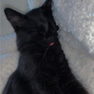 Meet your Posher, Maddie